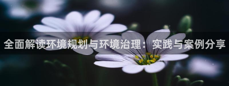 凯发就来凯发天生赢家一触即发：全面解读环