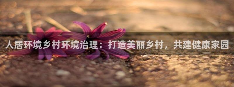 凯发k8国际首页登录：人居环境乡村环境治