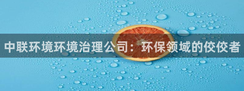 凯发唯一官方网站：中联环境环境治理公司：