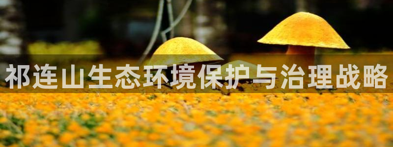 百家乐凯发k8：祁连山生态环境保护与治理