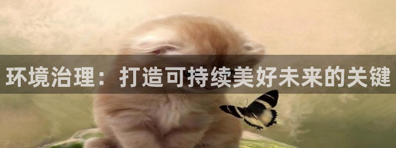 凯发官网首页：环境治理：打造可持续美好未