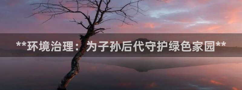 凯发k8娱乐官网手机端|**环境治理：为