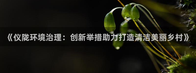 凯发k8官网备用网址|《仪陇环境治理：创