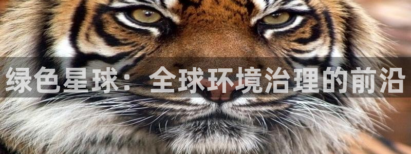 凯发k8国际(中国)官方网站·一触即发|