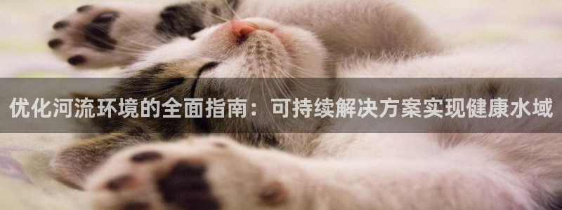 凯发k8国际首页登录|优化河流环境的全面