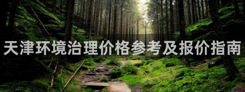 k8凯发|天津环境治理价格参考及报价指南
