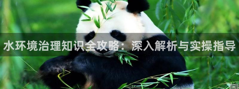 凯发k8网站是多少|水环境治理知识全攻略