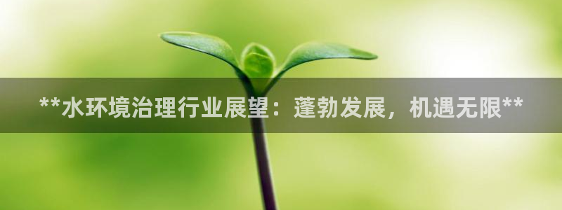 百家乐凯发k8|**水环境治理行业展望：
