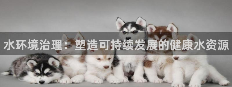 凯发k8网站是多少|水环境治理：塑造可持