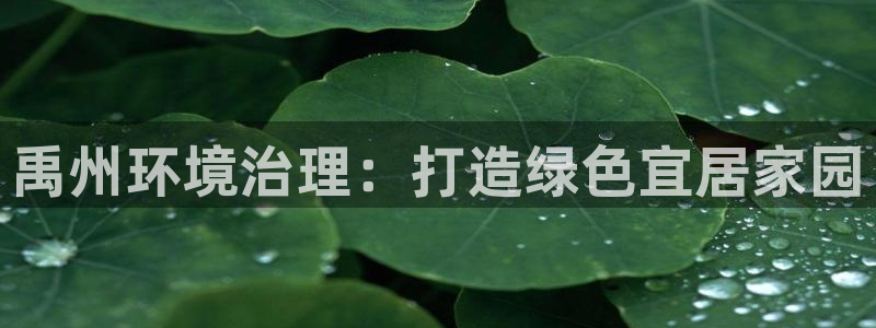 凯发k8旗舰厅注册登录|禹州环境治理：打造绿色宜居家园