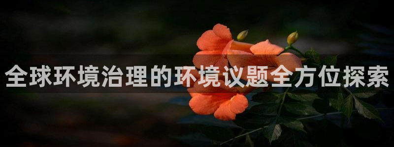 k8凯发|全球环境治理的环境议题全方位探索
