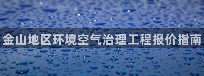 凯发官网首页|金山地区环境空气治理工程报