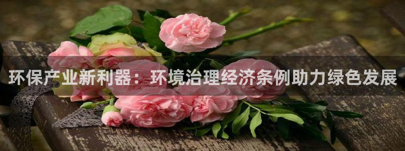凯发k8国际首页登录|环保产业新利器：环