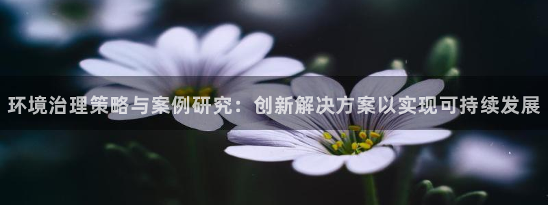 k8凯发|环境治理策略与案例研究：创新解
