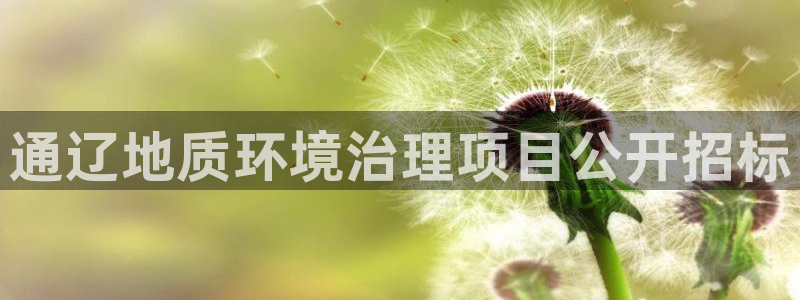凯发就来凯发天生赢家一触即发|通辽地质环境治理项目公开招标