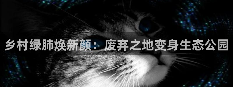 乡村绿肺焕新颜：废弃之地变身生态公园