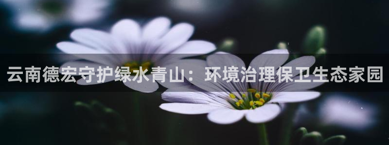 凯发k8天生赢家一触即发|云南德宏守护绿