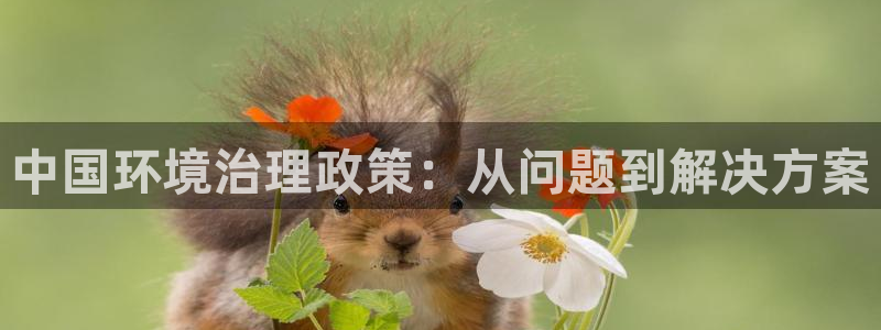 凯发k8官网登录vip|中国环境治理政策