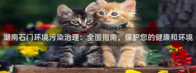 凯发k8·中国官方网站|湖南石门环境污染