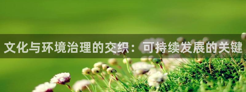 凯发k8国际首页登录|文化与环境治理的交织：可持续发展的关键