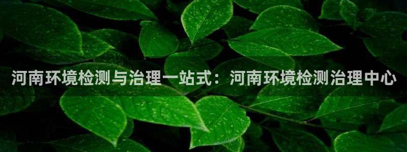 凯发k8国际首页登录|河南环境检测与治理