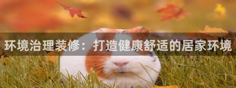 凯发k8国际首页登录|环境治理装修：打造健康舒适的居家环境